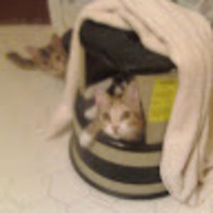 Meet your Posher, Mary beth